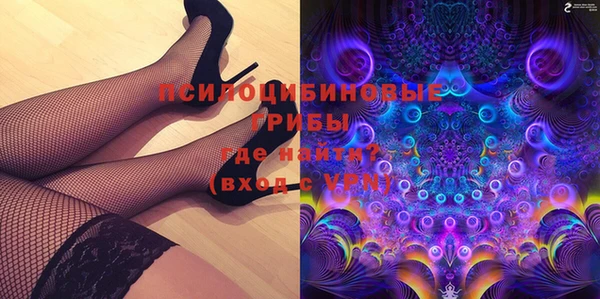 СК Алексин
