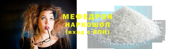 СК Алексин