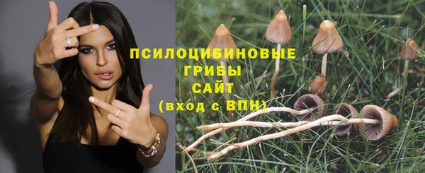 СК Алексин